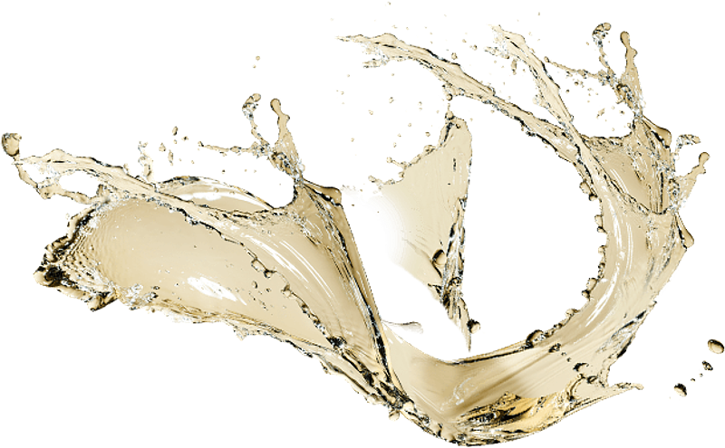 Prosecco DOC & DOCG,