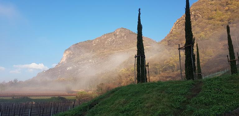 Alto Adige,