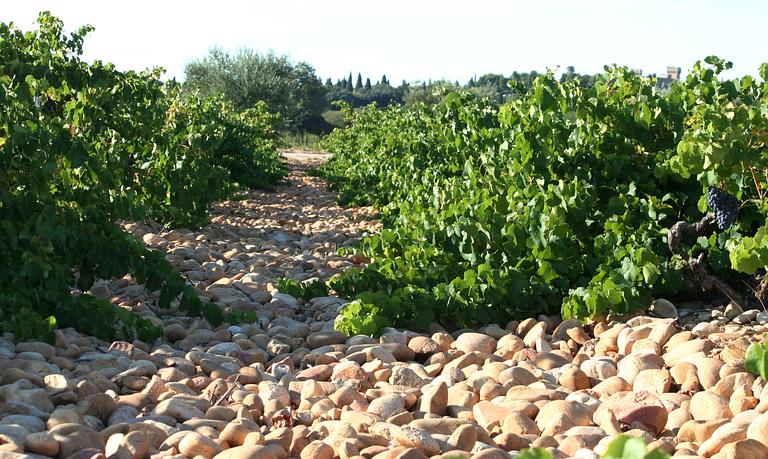Châteauneuf-du-Pape,